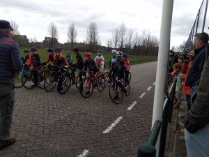 start cat 3-4